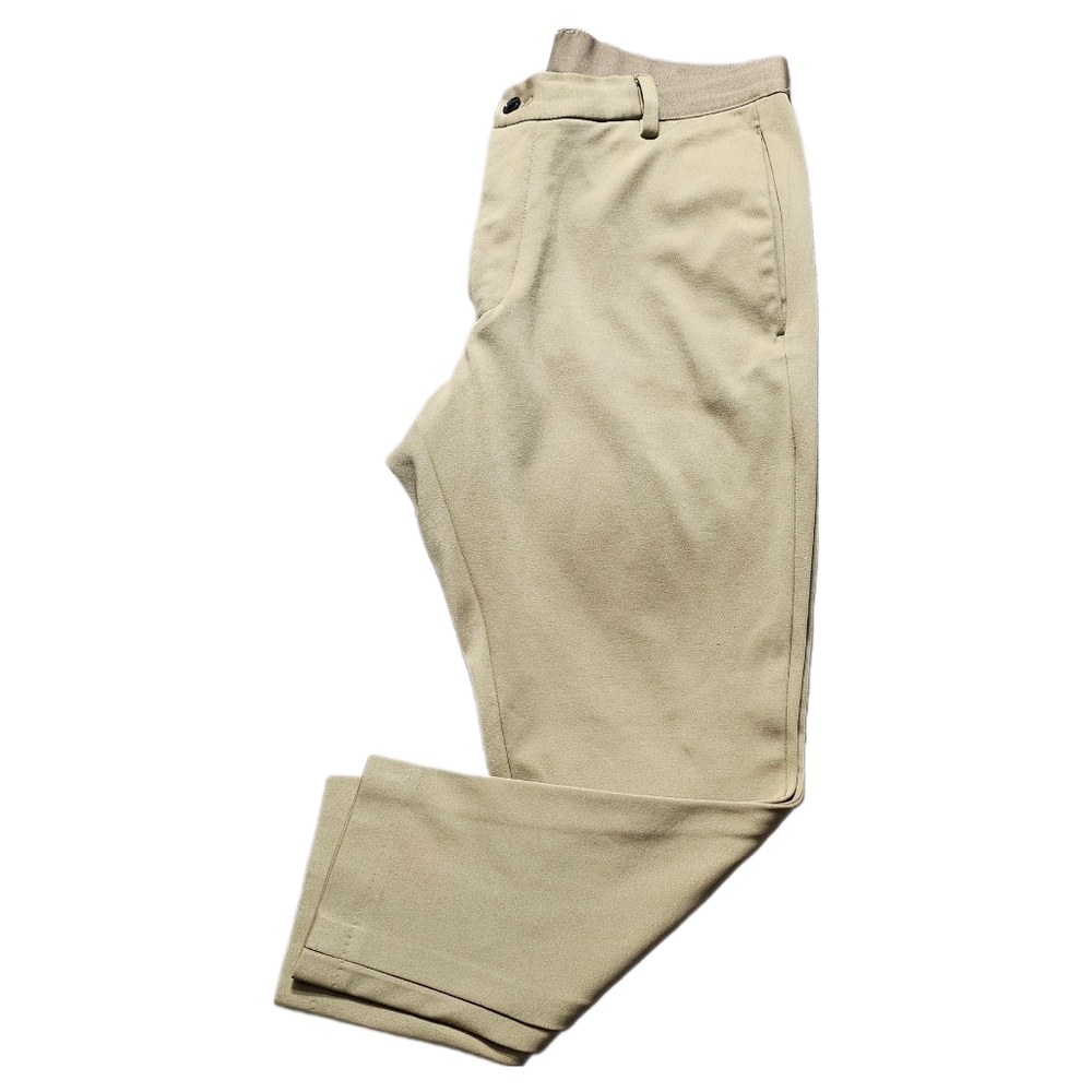 Zara Elegant pants